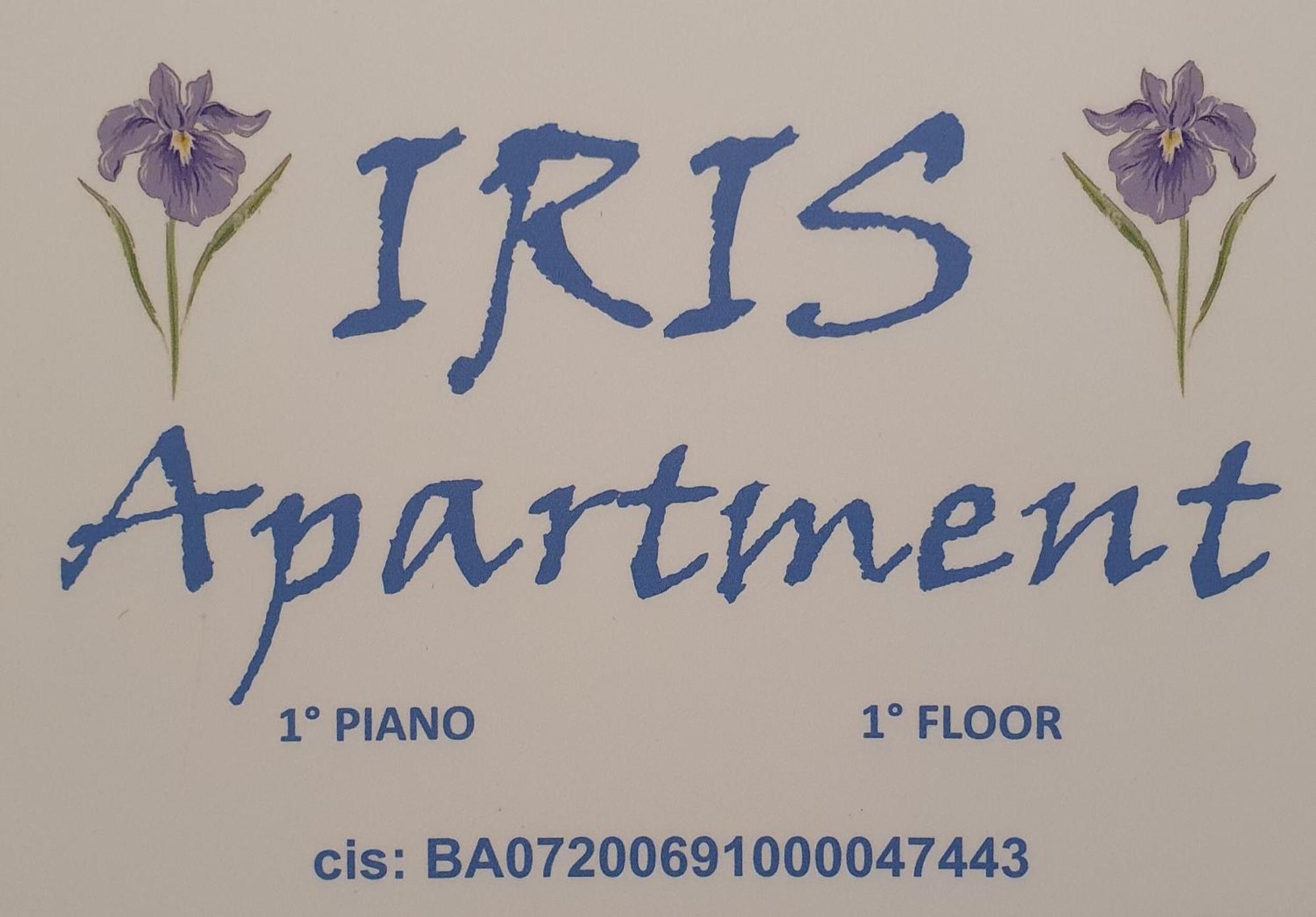 Iris Qsella *